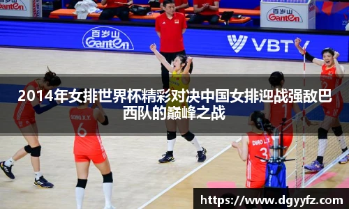 2014年女排世界杯精彩对决中国女排迎战强敌巴西队的巅峰之战